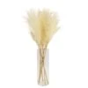 64cm White Pampas Grass Artificial Plant In Clear Glass Vase 1 64cm White Pampas Grass Artificial Plant In Clear Glass Vase -Gardens and Outdoor 64cm white pampas grass artificial plant in clear glass vase5010795682614 03c bq