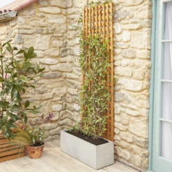 6ft Pine Trellis Panel (W)122cm X (H)183cm -Gardens and Outdoor 6ft pine trellis panel w 122cm x h 183cm3663602430636 04bq