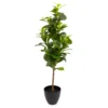 80cm Peperomia Artificial Plant In Black Ribbed Pot -Gardens and Outdoor 80cm peperomia artificial plant in black ribbed pot5010795687022 01c
