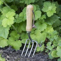 Gardens and Outdoor -Gardens and Outdoor burgon ball hand tined fork w 75mm5019360008491 01i bq