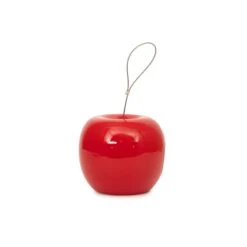 CJ Wildlife Ceramic Feeder Bird Mixes Red Apple Bird Feeder 0.5L -Gardens and Outdoor cj wildlife ceramic feeder bird mixes red apple bird feeder 0 5l5051054276304 03c