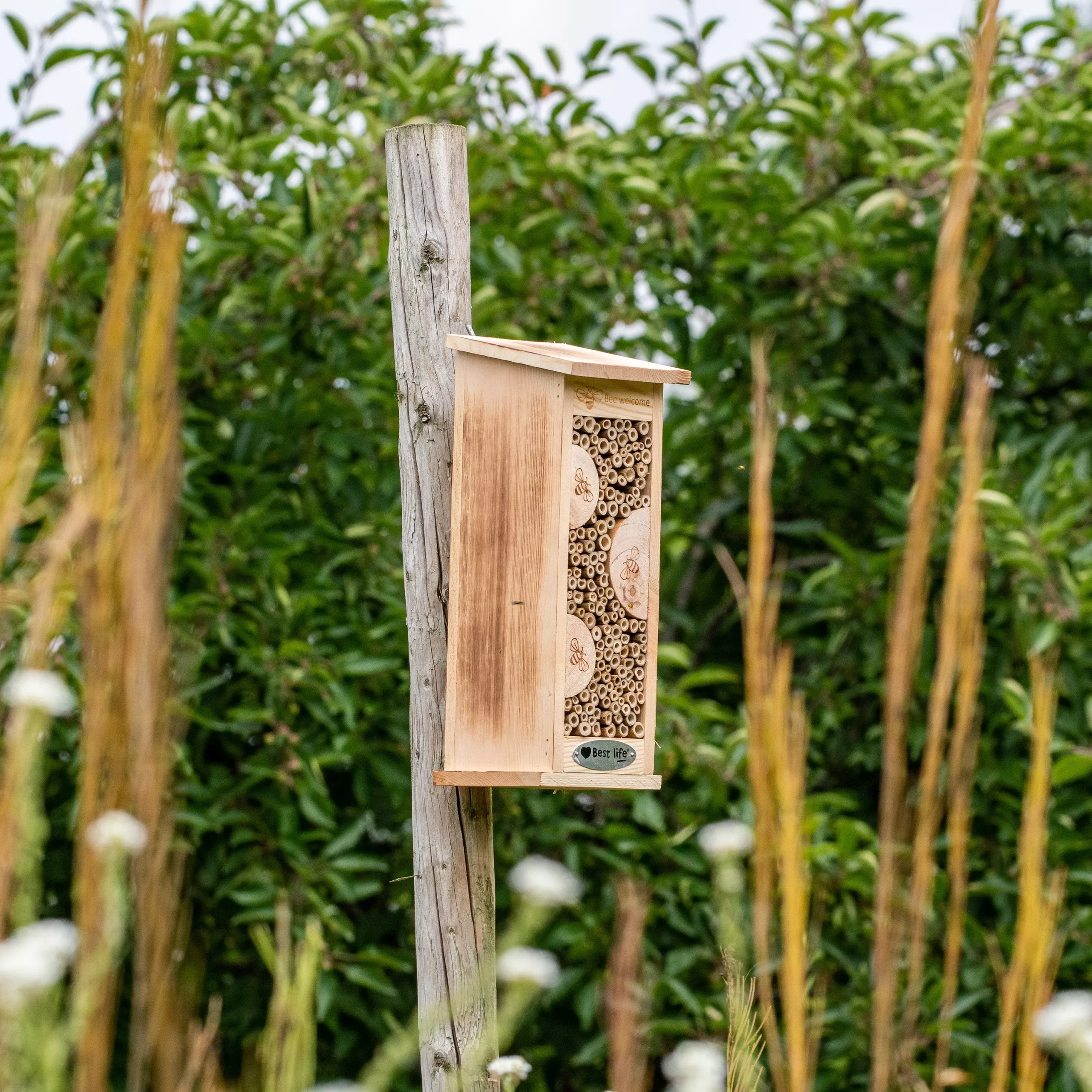 CJ Wildlife Floreana Natural Insect House 5 CJ Wildlife Floreana Natural Insect House - Image 3