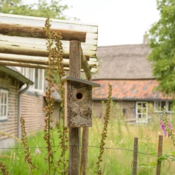 CJ Wildlife Kopervik Natural Nest Box -Gardens and Outdoor cj wildlife kopervik natural nest box5051054263069 01i