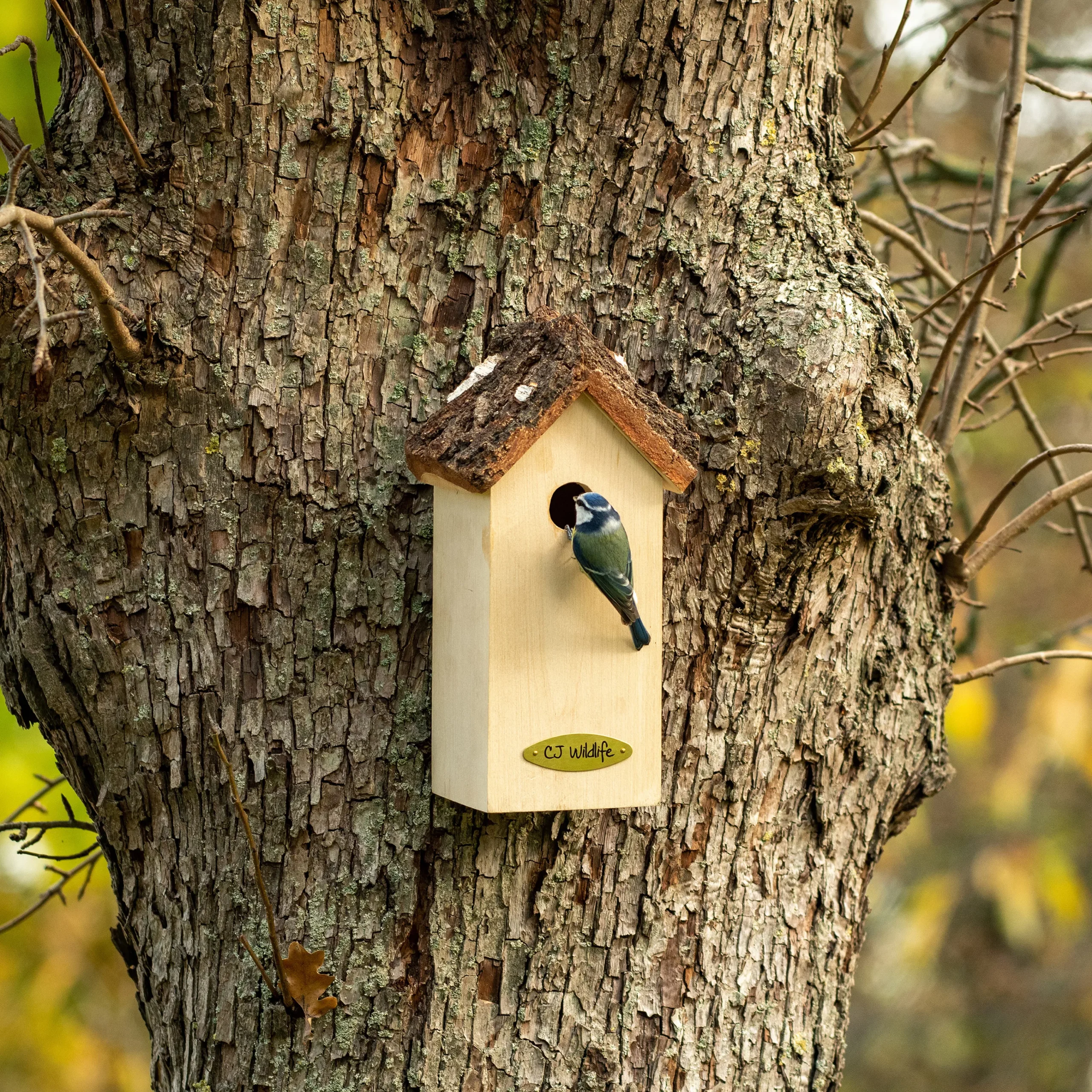 CJ Wildlife Larvik Natural Nest Box 8 CJ Wildlife Larvik Natural Nest Box - Image 6