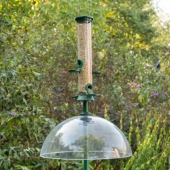 CJ Wildlife Squirrels Squirrel Baffle -Gardens and Outdoor cj wildlife squirrels squirrel baffle5051054240664 02i