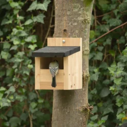 CJ Wildlife Viborg Natural Nest Box -Gardens and Outdoor cj wildlife viborg natural nest box5051054244457 01i