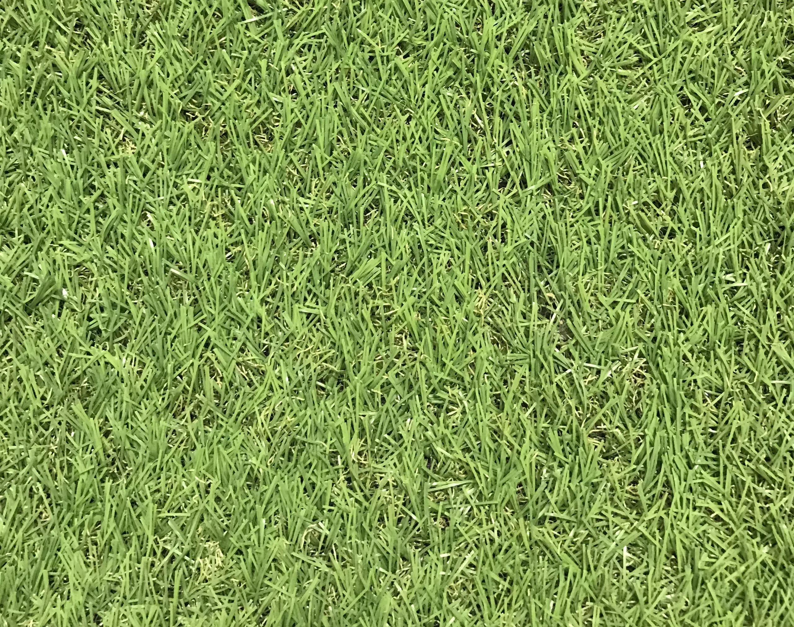 Dennis Artificial Grass 8m² (T)22mm 5 Dennis Artificial Grass 8m² (T)22mm - Image 3
