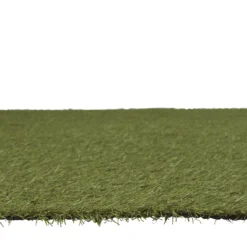Dennis Artificial Grass 8m² (T)22mm 14 Dennis Artificial Grass 8m² (T)22mm -Gardens and Outdoor dennis artificial grass 8m t 22mm3663602425182 02bq