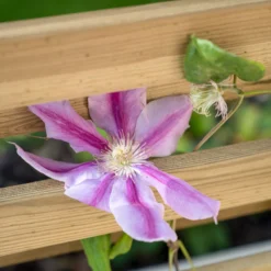 Forest Garden Living Screen Natural Timber Rectangular Planter (H) 180cm X (W) 90cm -Gardens and Outdoor forest garden living screen natural timber rectangular planter h 180cm x w 90cm5013053190227 02i