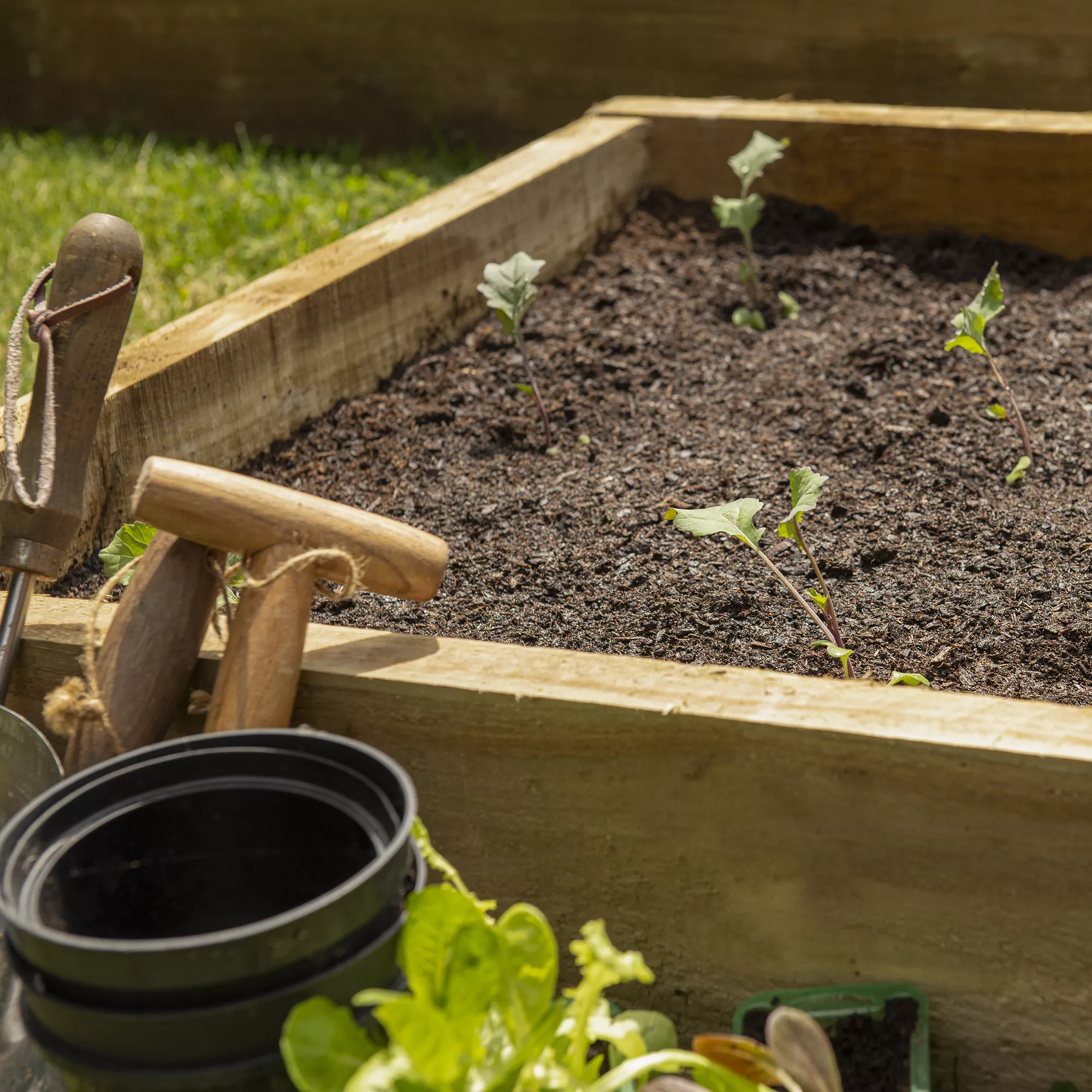 Forest Garden Rectangular Raised Bed Kit 9 Forest Garden Rectangular Raised Bed Kit - Image 7