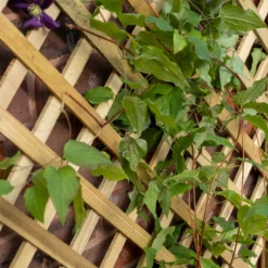 Forest Garden Trellis Natural Timber Rectangular Planter (H) 137cm X (W) 80cm -Gardens and Outdoor forest garden trellis natural timber rectangular planter h 137cm x w 80cm5013053190616 02i
