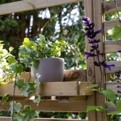 Forest Garden Vertical Garden Planter -Gardens and Outdoor forest garden vertical garden planter5013053184943 06i bq