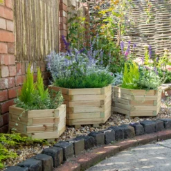 Forest Garden York Wooden Hexagonal Planter, Pack Of 3 -Gardens and Outdoor forest garden york wooden hexagonal planter pack of 35013053154533 01i bq