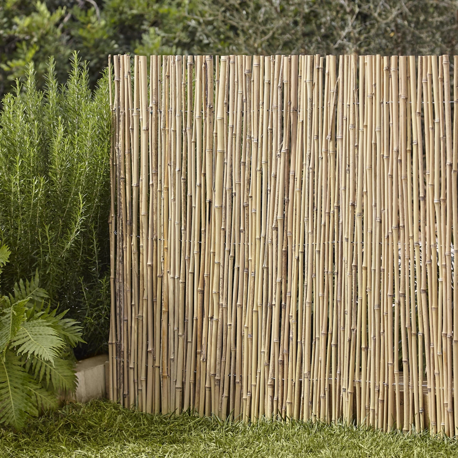 Garden Screen (H)1.5m (W)3m 4 Garden Screen (H)1.5m (W)3m - Image 2