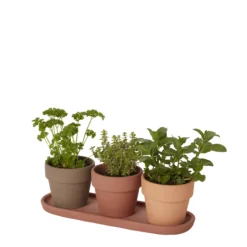 GoodHome Arara Terracotta Cement & Terracotta Round Plant Pot (Dia)10.9cm 9 GoodHome Arara Terracotta Cement & Terracotta Round Plant Pot (Dia)10.9cm -Gardens and Outdoor goodhome arara terracotta cement terracotta round plant pot dia 10 9cm3663602441335 21c bq