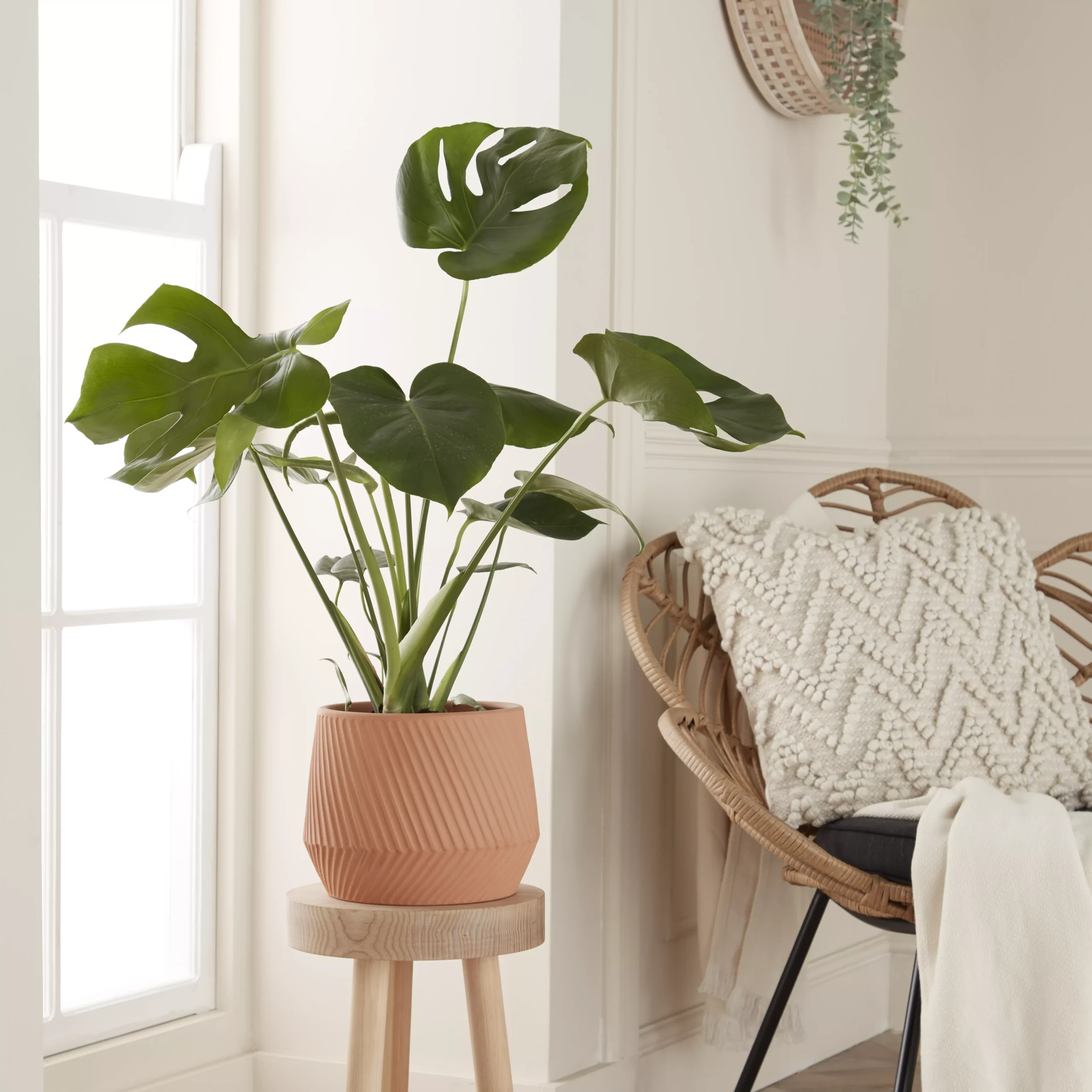 GoodHome Lummi Beige Terracotta Slanting Stripes Circular Plant Pot (Dia)23.5cm 5 GoodHome Lummi Beige Terracotta Slanting Stripes Circular Plant Pot (Dia)23.5cm - Image 3