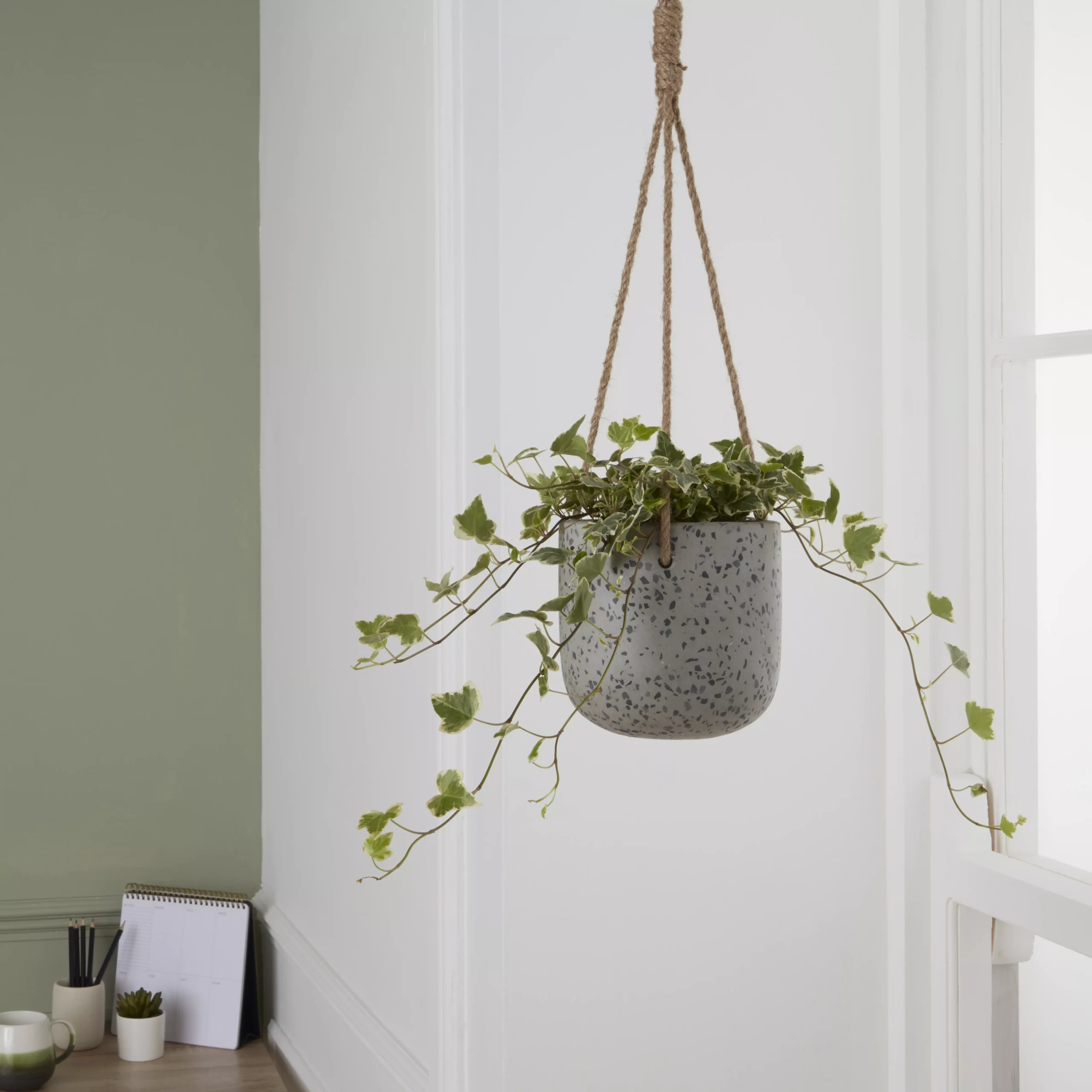 GoodHome Makah Grey Terrazzo Effect Cement Circular Hanging Pot (Dia)15cm 6 GoodHome Makah Grey Terrazzo Effect Cement Circular Hanging Pot (Dia)15cm - Image 4