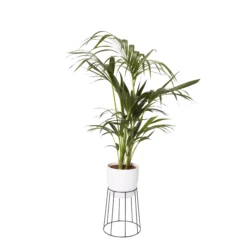 GoodHome Metal Pot Stand -Gardens and Outdoor goodhome metal pot stand3663602442387 21c bq