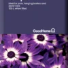 GoodHome Peat-free Multi-purpose Compost 100L -Gardens and Outdoor goodhome peat free multi purpose compost 100l5036581089993 02c