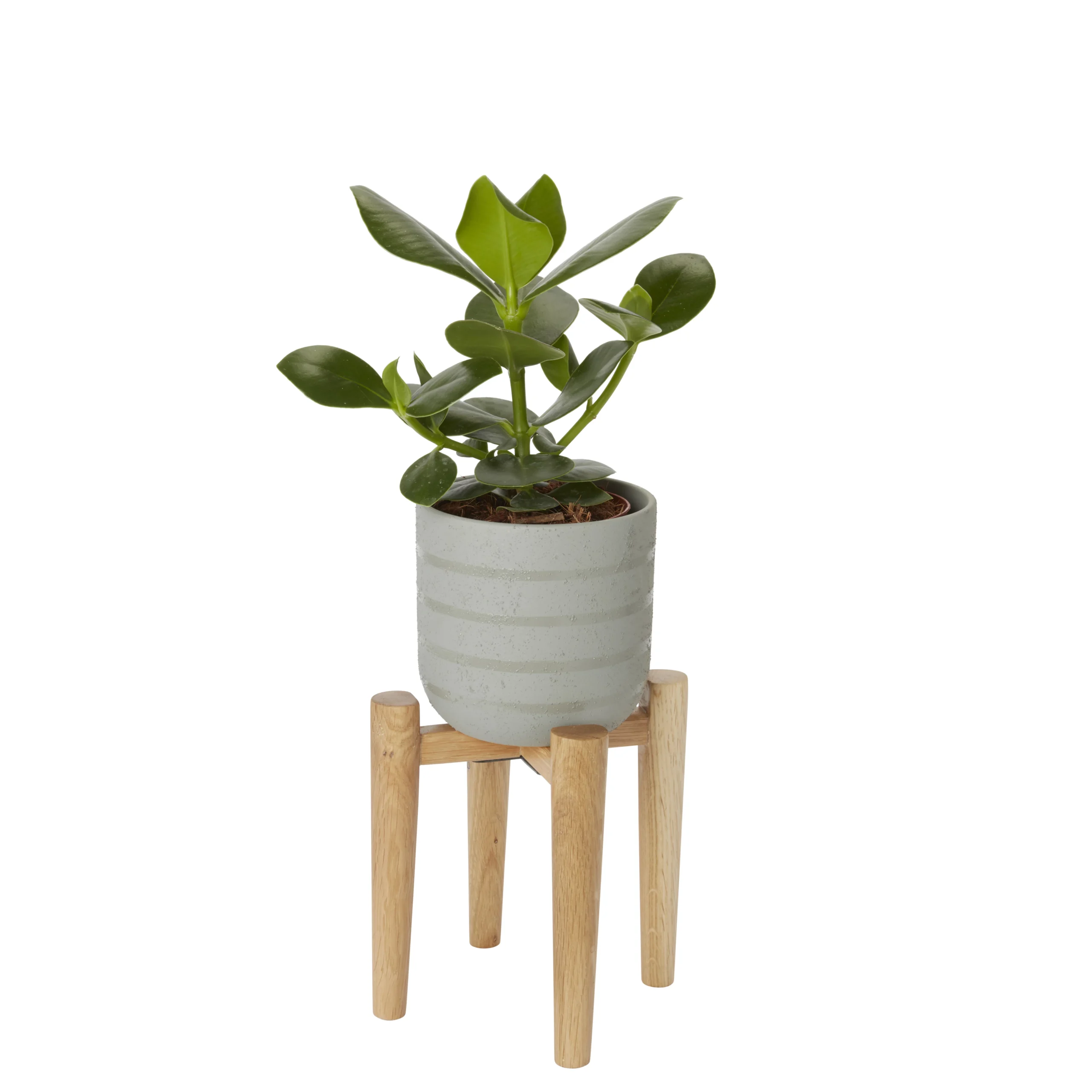 GoodHome Wood Pot Stand 4 GoodHome Wood Pot Stand - Image 2