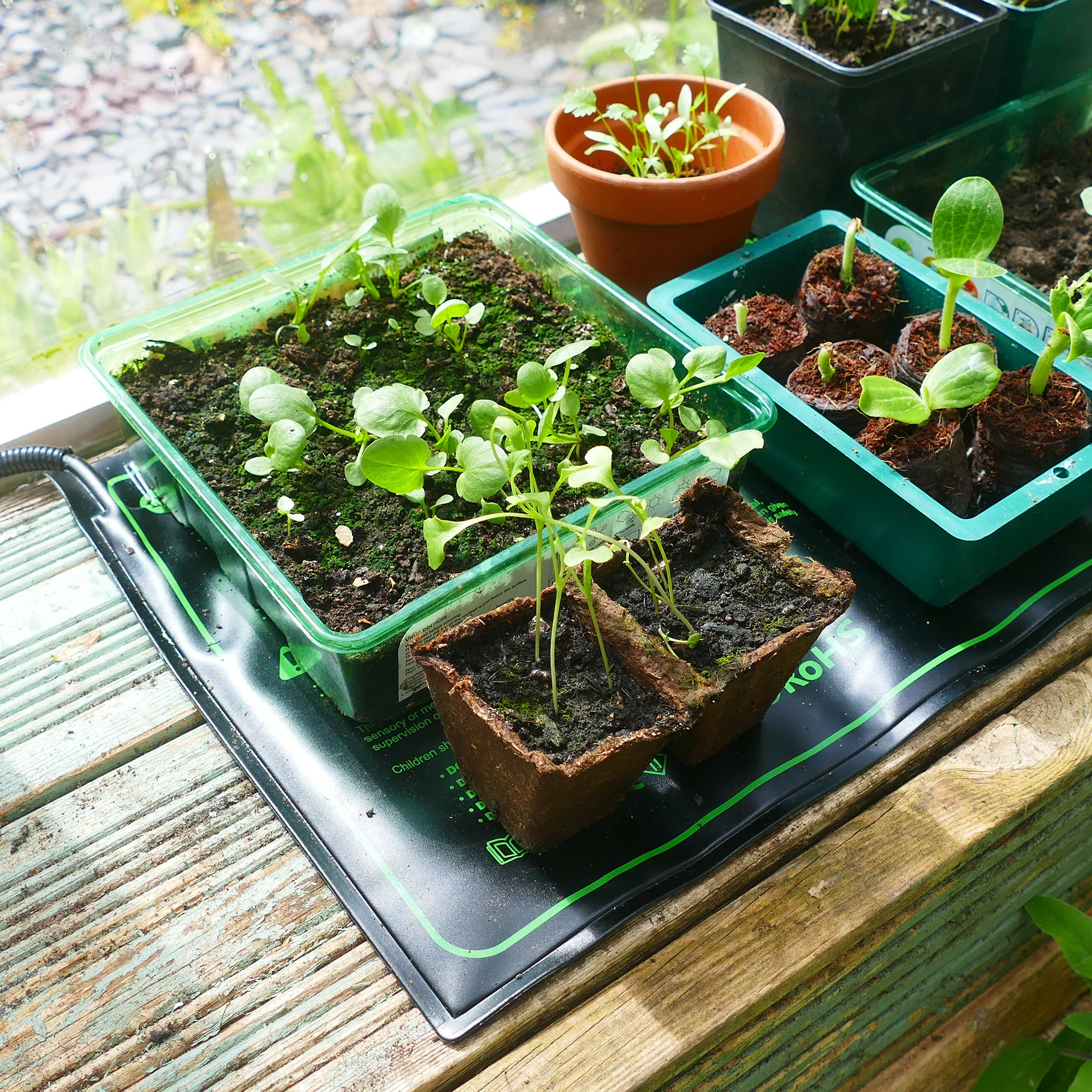 Gro-Sure 50cm Propagation Mat 4 Gro-Sure 50cm Propagation Mat - Image 2