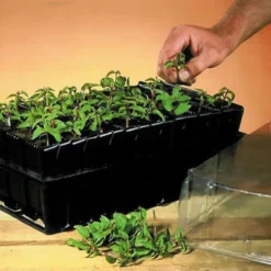 Haxnicks Deep Rootrainer 37cm -Gardens and Outdoor haxnicks deep rootrainer 37cm0651609107012 01i