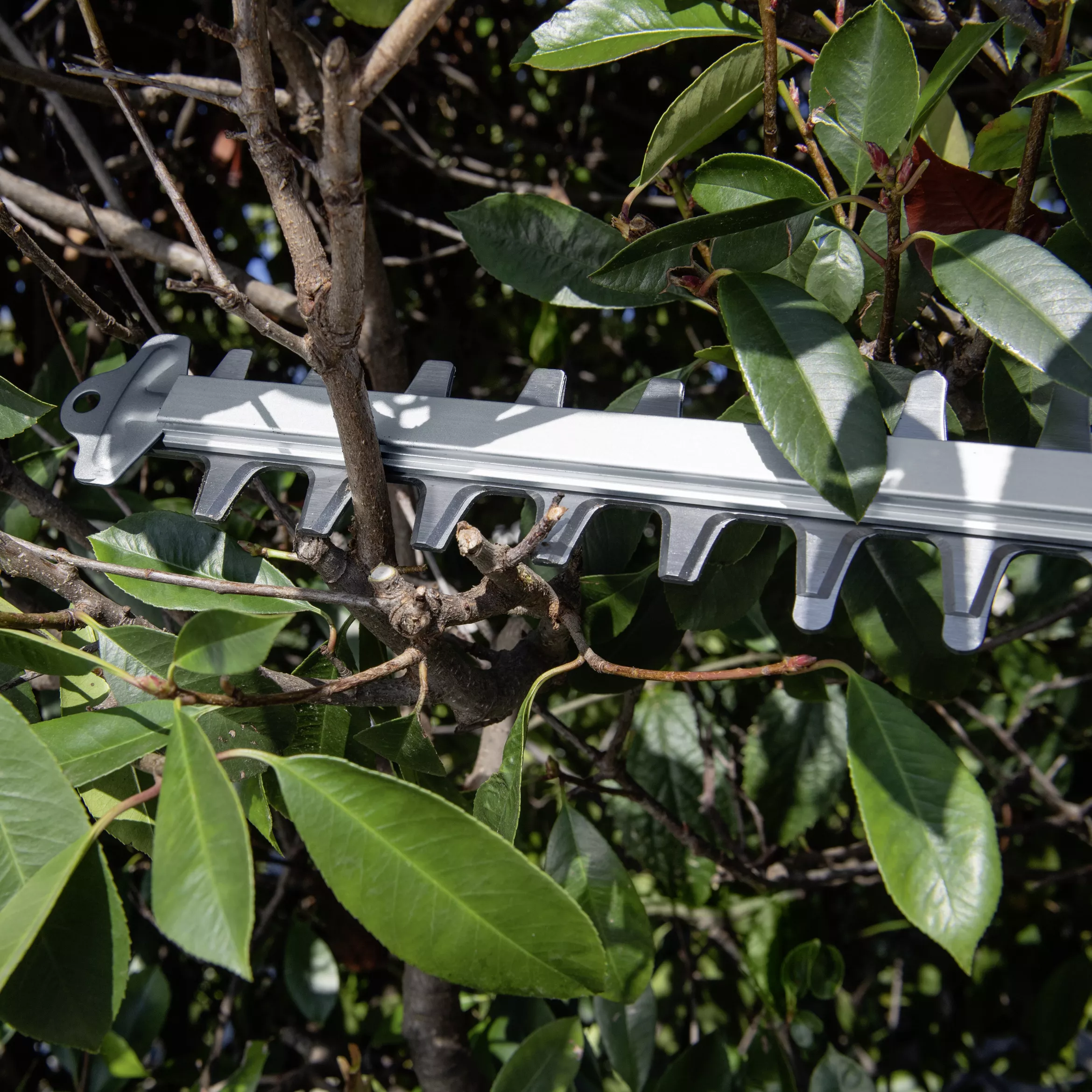 Kärcher 18V 500mm 14442420 Cordless Hedge Trimmer 11 Kärcher 18V 500mm 14442420 Cordless Hedge Trimmer - Image 9