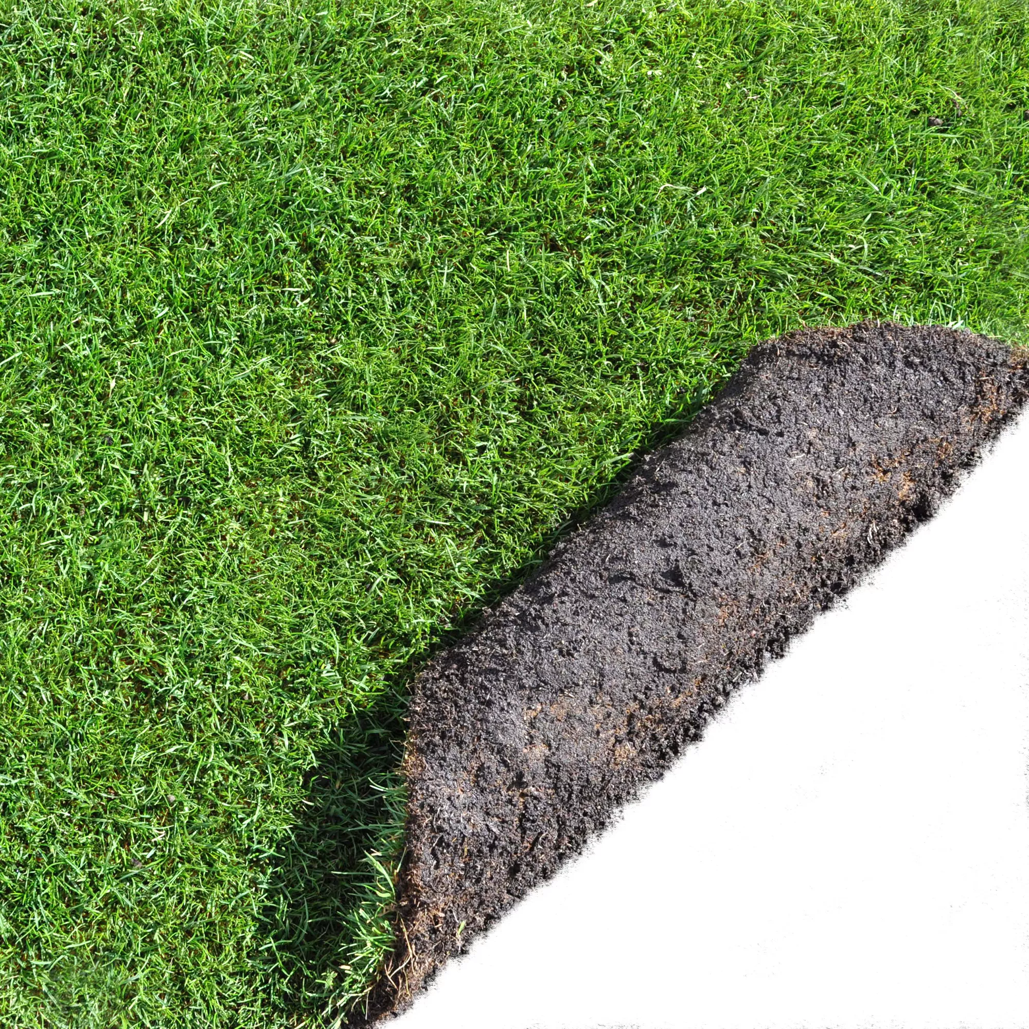 Lawn Turf, 50m² Pack 4 Lawn Turf, 50m² Pack - Image 2