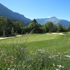 Meadowmat Wildflower Turf, 20m² Pack -Gardens and Outdoor meadowmat wildflower turf 20m pack04168157 04i bq