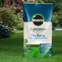 Miracle-Gro No Rake Lawn Fertiliser Granules 200m² 20kg -Gardens and Outdoor miracle gro no rake lawn fertiliser granules 200m 20kg5010272183788 01i BQ