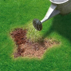 Miracle-Gro Patch Magic Lawn Patch Repairer 13m² 1L 1kg -Gardens and Outdoor miracle gro patch magic lawn patch repairer 13m 1l 1kg5010272090567 02i bq