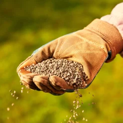 Miracle-Gro Perform Universal Plant Feed Granules 2kg 7 Miracle-Gro Perform Universal Plant Feed Granules 2kg -Gardens and Outdoor miracle gro perform universal plant feed granules 2kg5010272189032 01i BQ