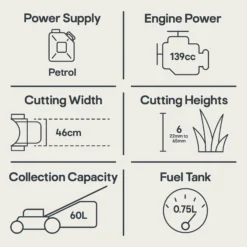 Mountfield HP185 139cc Petrol Rotary Lawnmower -Gardens and Outdoor mountfield hp185 139cc petrol rotary lawnmower8008984856325 01t EN bq