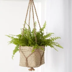 Natural Seagrass Herringbone Round Plant Pot (Dia)20.5cm 9 Natural Seagrass Herringbone Round Plant Pot (Dia)20.5cm -Gardens and Outdoor natural seagrass herringbone round plant pot dia 20 5cm3663602442479 06i bq