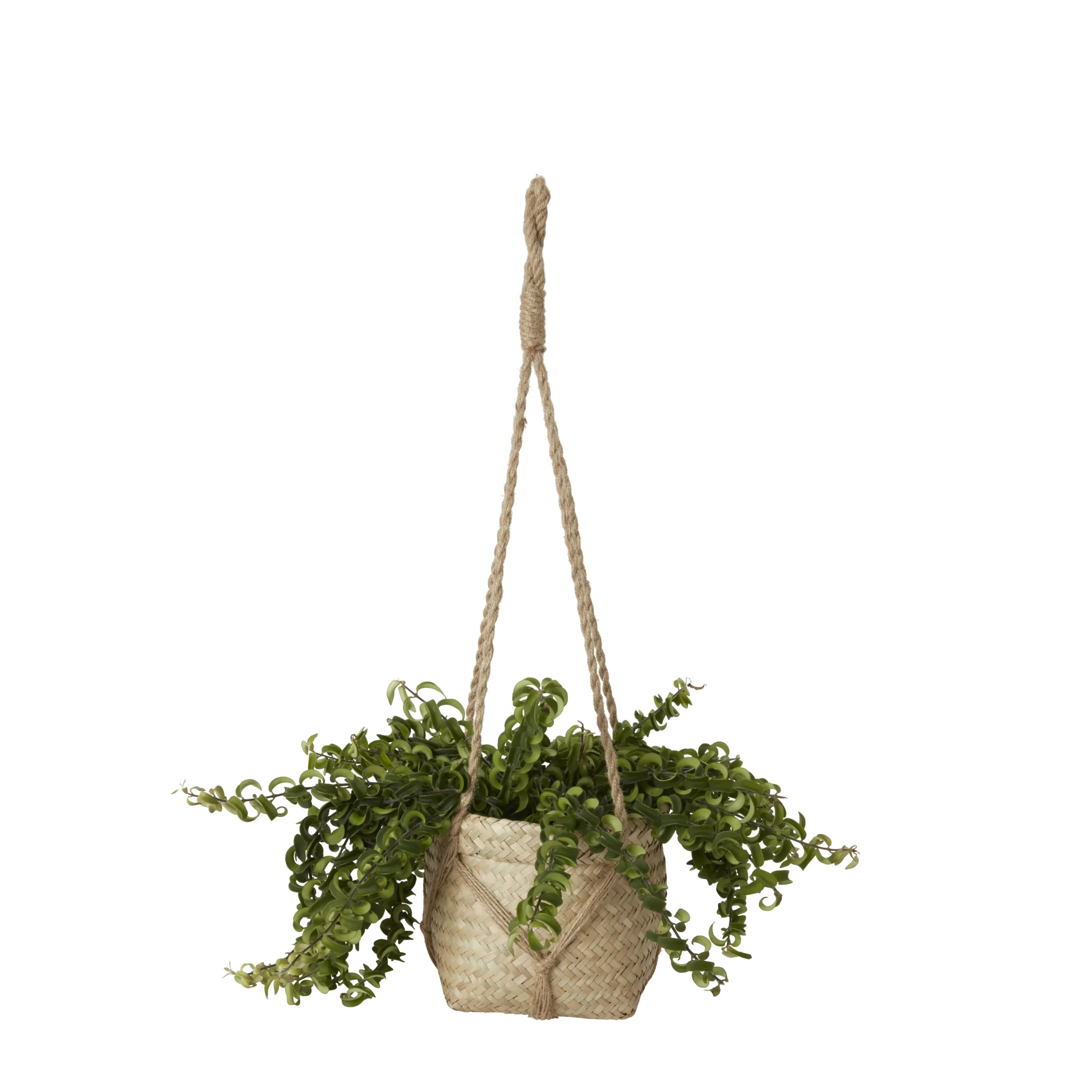 Natural Seagrass Herringbone Round Plant Pot (Dia)20.5cm 4 Natural Seagrass Herringbone Round Plant Pot (Dia)20.5cm - Image 2