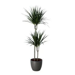 Never Plant In 24cm Assorted Ceramic Decorative Pot 7 Never Plant In 24cm Assorted Ceramic Decorative Pot -Gardens and Outdoor never plant in 24cm assorted ceramic decorative pot5059340827834 22c