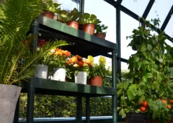 Palram - Canopia 2 Tier Greenhouse Staging -Gardens and Outdoor palram canopia 2 tier greenhouse staging7290103121372 04i