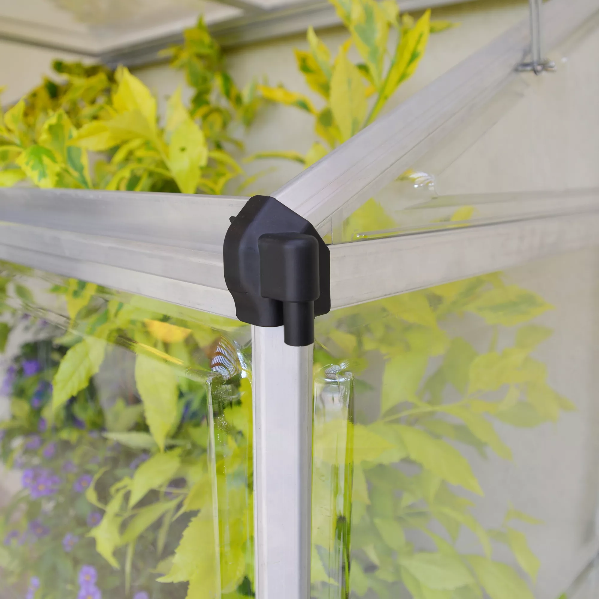 Palram - Canopia 4x2 Greenhouse 4 Palram - Canopia 4x2 Greenhouse - Image 2