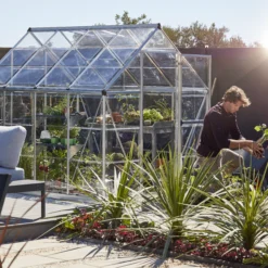 Palram - Canopia Harmony Silver 6x8 Greenhouse -Gardens and Outdoor palram canopia harmony silver 6x8 greenhouse7290103110581 07i