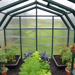 Palram - Canopia Hobby Gardner Green 8x8 Greenhouse -Gardens and Outdoor palram canopia hobby gardner green 8x8 greenhouse7290103121655 05i bq