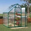 Palram - Canopia Mythos Green 6X6 Greenhouse -Gardens and Outdoor palram canopia mythos green 6x6 greenhouse7290103110949 01i BQ