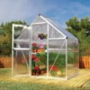 Palram - Canopia Mythos Silver 6x4 Greenhouse -Gardens and Outdoor palram canopia mythos silver 6x4 greenhouse7290103110901 01i bq