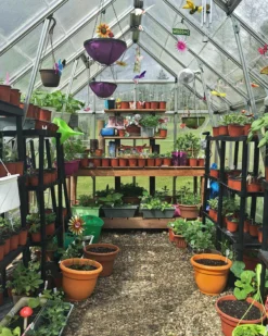 Palram - Canopia Octave Silver Greenhouse 28 Palram - Canopia Octave Silver Greenhouse -Gardens and Outdoor palram canopia octave silver greenhouse7290103111472 05i