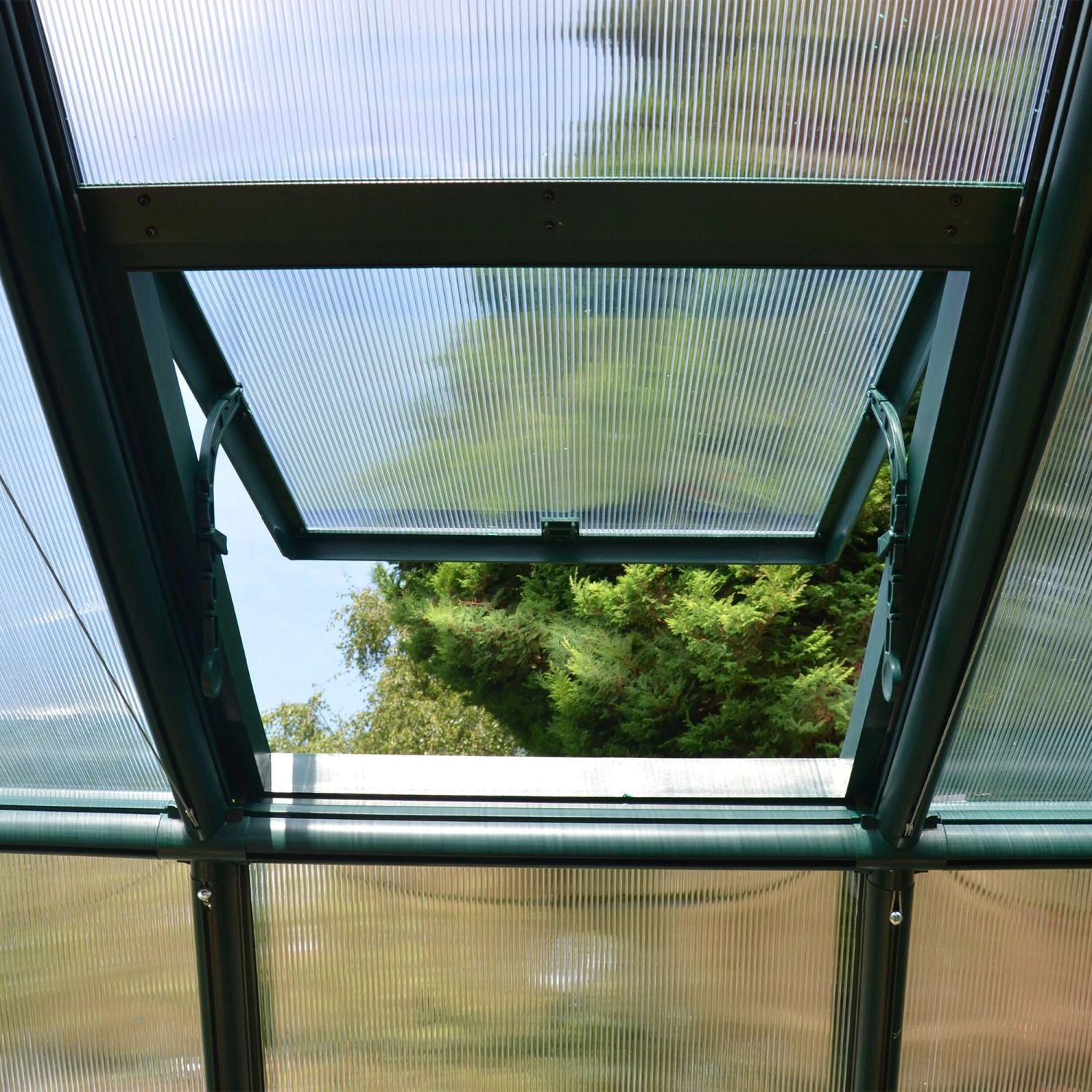 Palram - Canopia Rion Ecogrow Green 6x8 Greenhouse 6 Palram - Canopia Rion Ecogrow Green 6x8 Greenhouse - Image 4