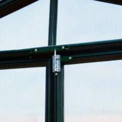 Palram - Canopia Rion Ecogrow Green 6x8 Greenhouse 15 Palram - Canopia Rion Ecogrow Green 6x8 Greenhouse -Gardens and Outdoor palram canopia rion ecogrow green 6x8 greenhouse7290103121778 40c