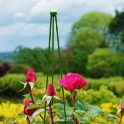 Panacea Circular Obelisks, 1.4m -Gardens and Outdoor panacea circular obelisks 1 4m0093432825631 01i bq