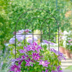 Panacea Steel Plant Support Frame (L)182cm (Dia)56cm -Gardens and Outdoor panacea steel plant support frame l 182cm dia 56cm0093432825556 01i bq