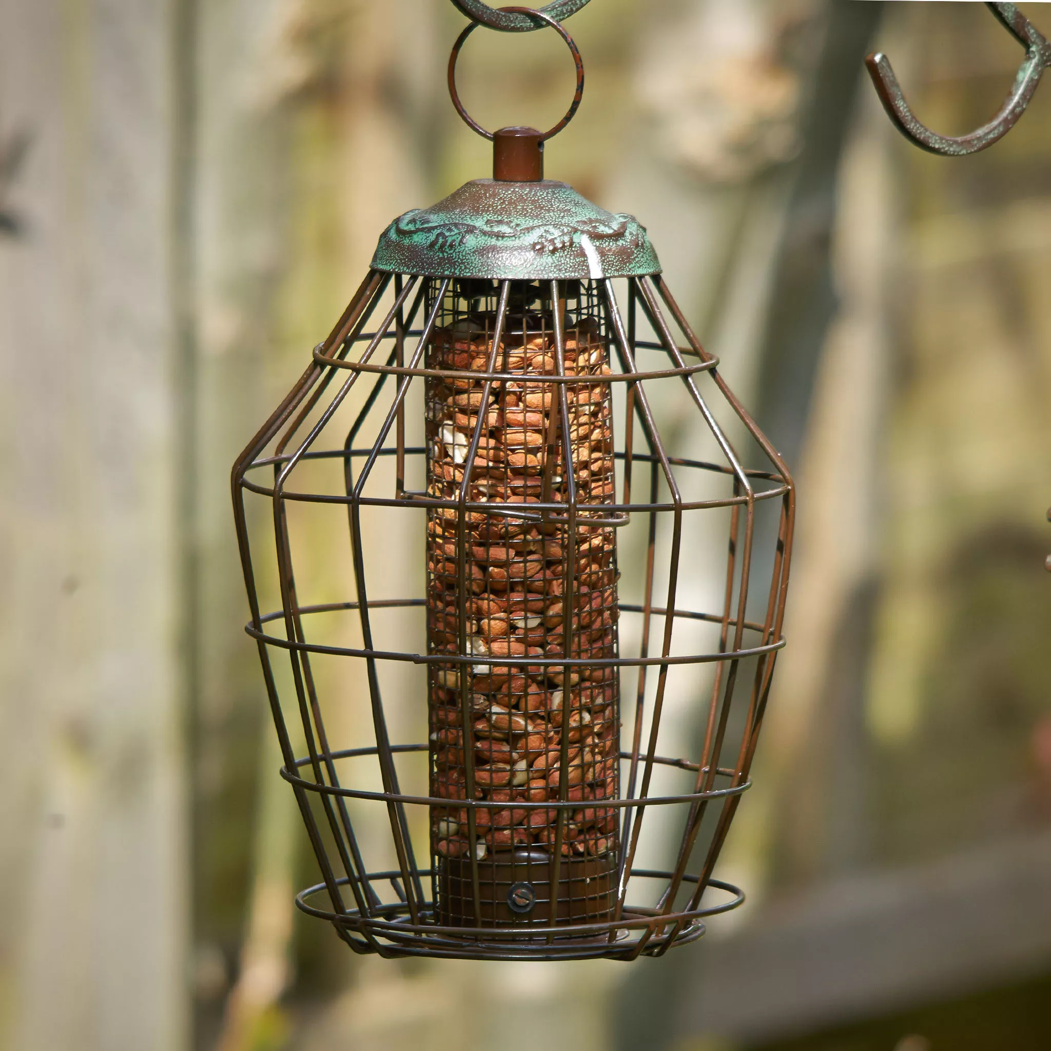 Peckish Secret Garden Steel Peanut Green Squirrel Proof Bird Feeder 0.7L 4 Peckish Secret Garden Steel Peanut Green Squirrel Proof Bird Feeder 0.7L - Image 2