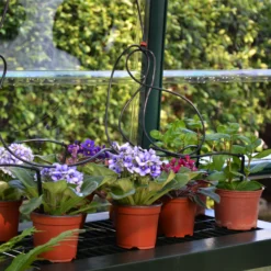 Rion Grand Gardner Green 8x12 Greenhouse 14 Rion Grand Gardner Green 8x12 Greenhouse -Gardens and Outdoor rion grand gardner green 8x12 greenhouse7290103121587 39c