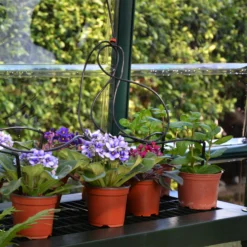 Rion Grand Gardner Green 8x20 Greenhouse -Gardens and Outdoor rion grand gardner green 8x20 greenhouse7290103121648 38c